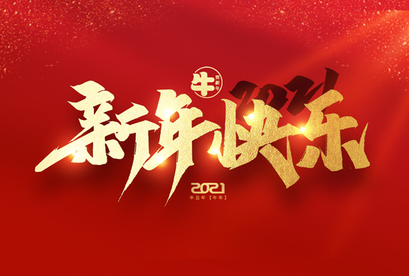 麗水市威儀自動(dòng)化技術(shù)有限公司祝全國(guó)人民2021年新年快樂！